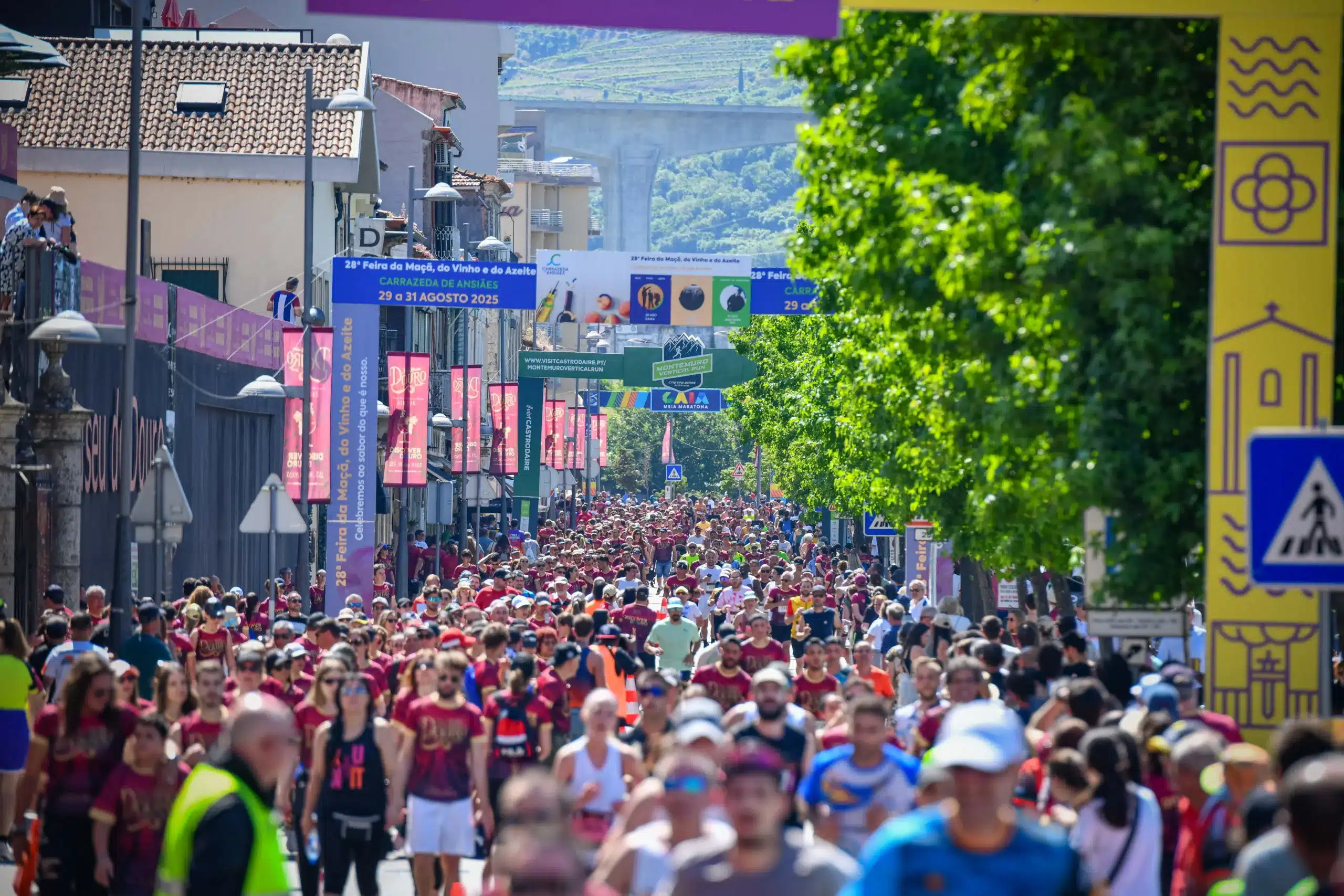 Douro Wine Region Half Marathon race event