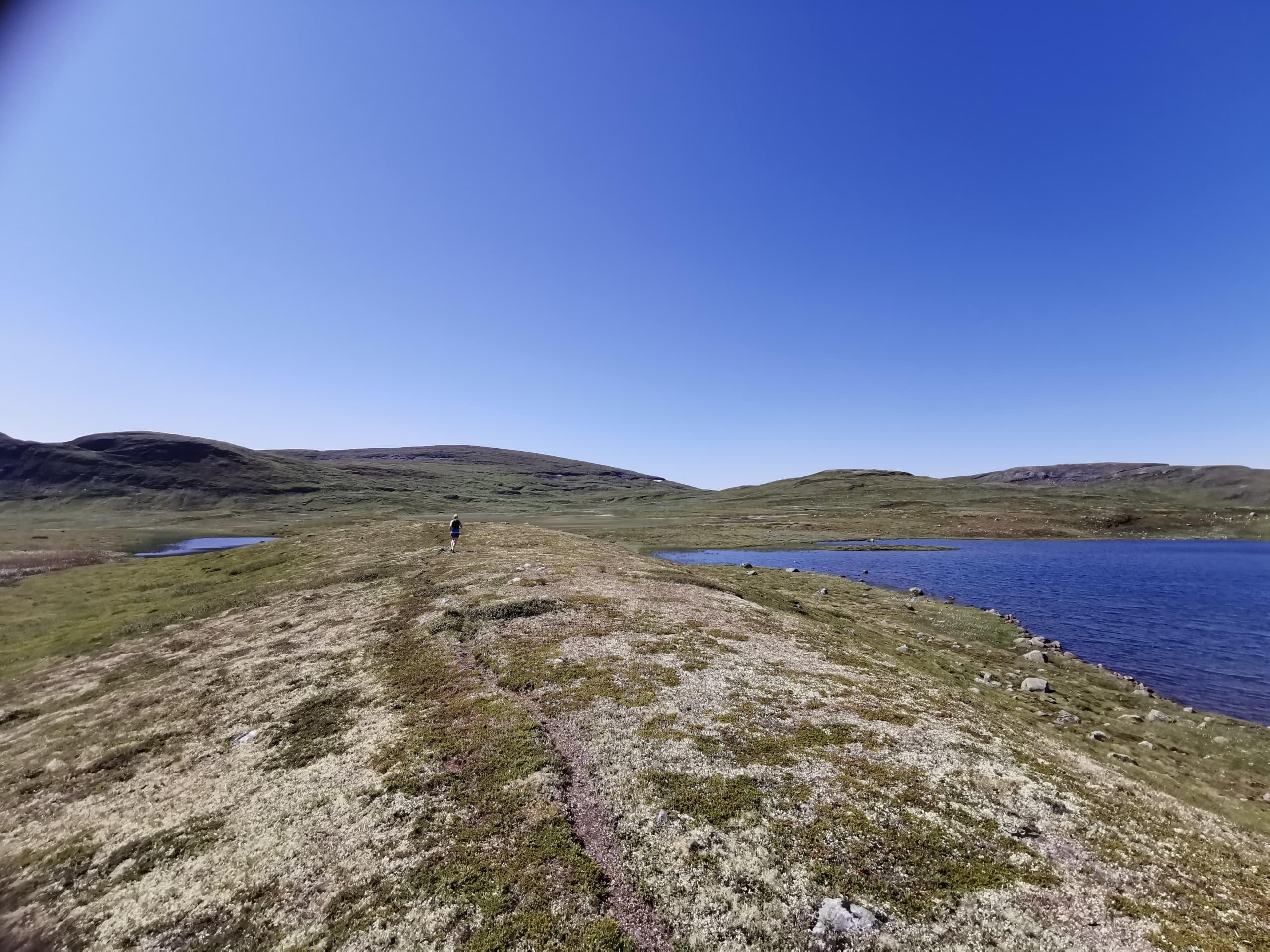 Dynafit Hardangervidda Marathon race event