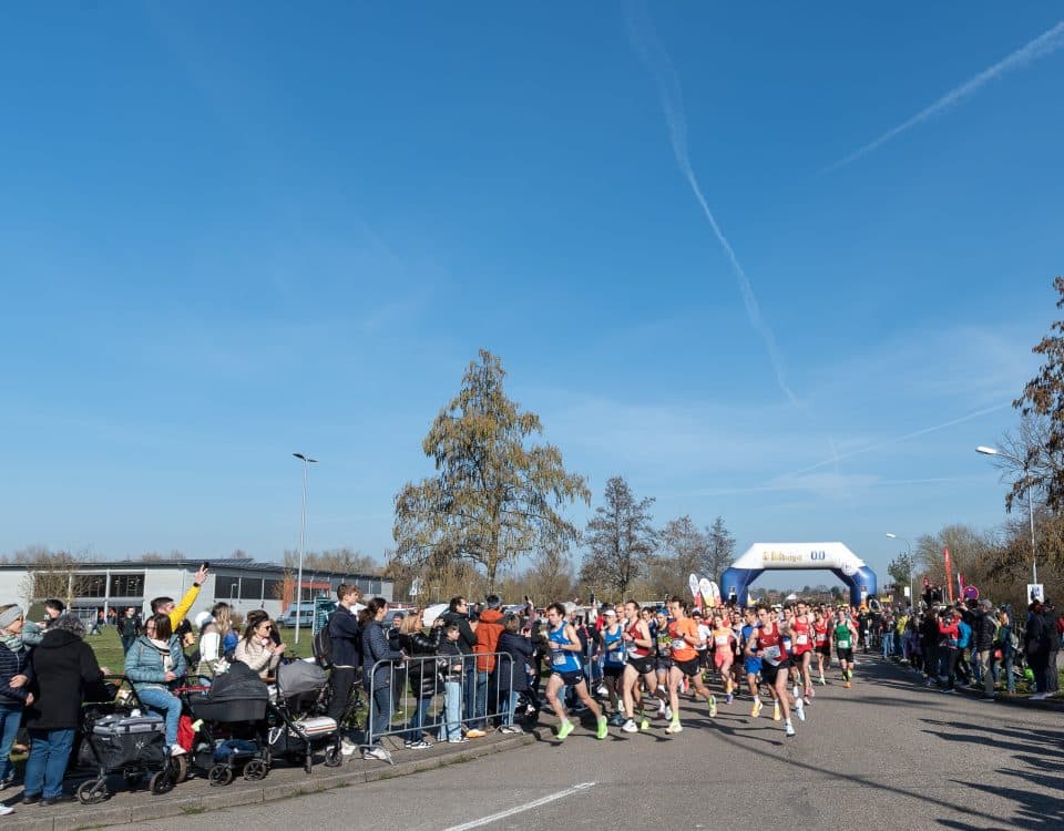 Bienwald-Marathon race event