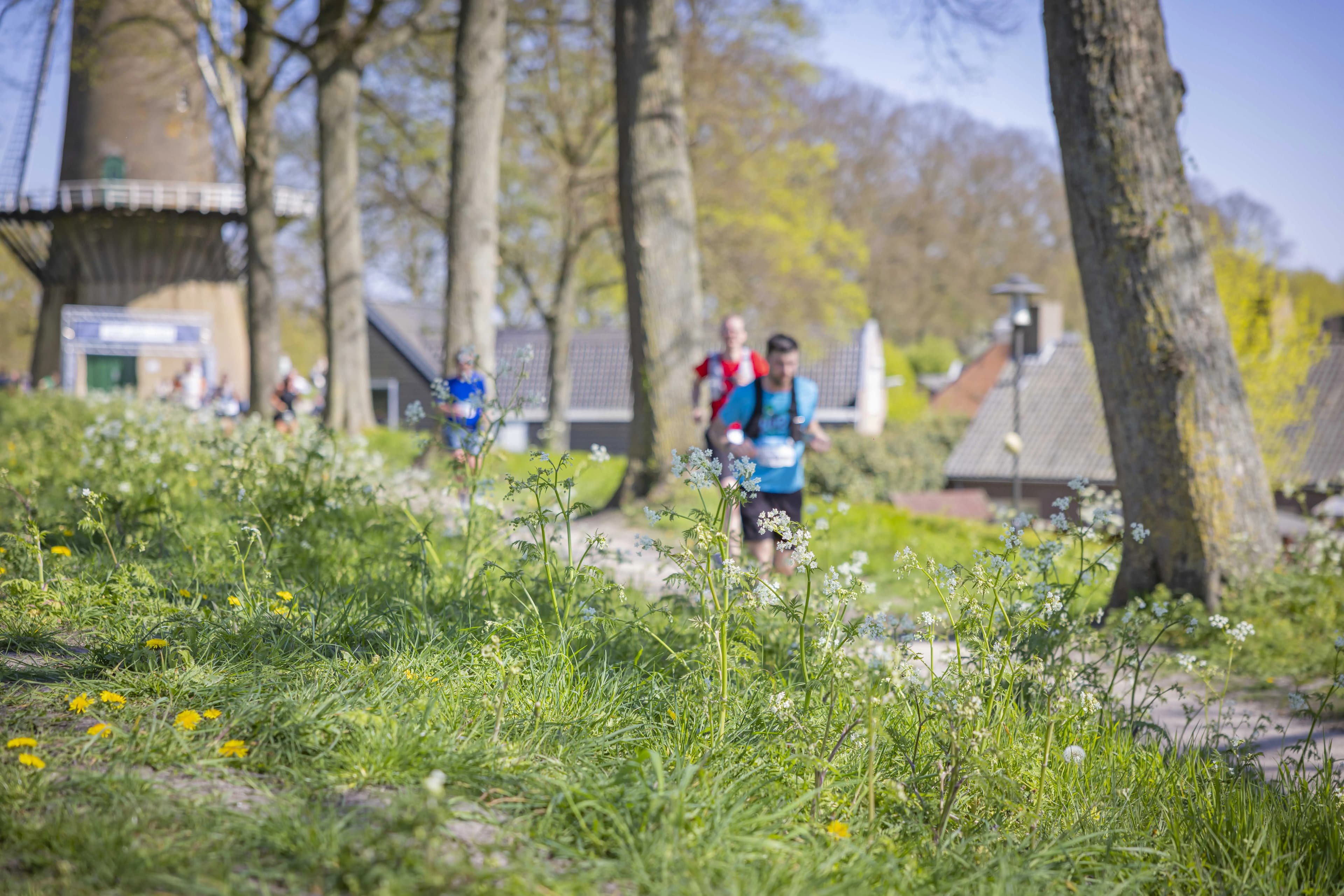 Marathon Zeeuws-Vlaanderen Hulst race event
