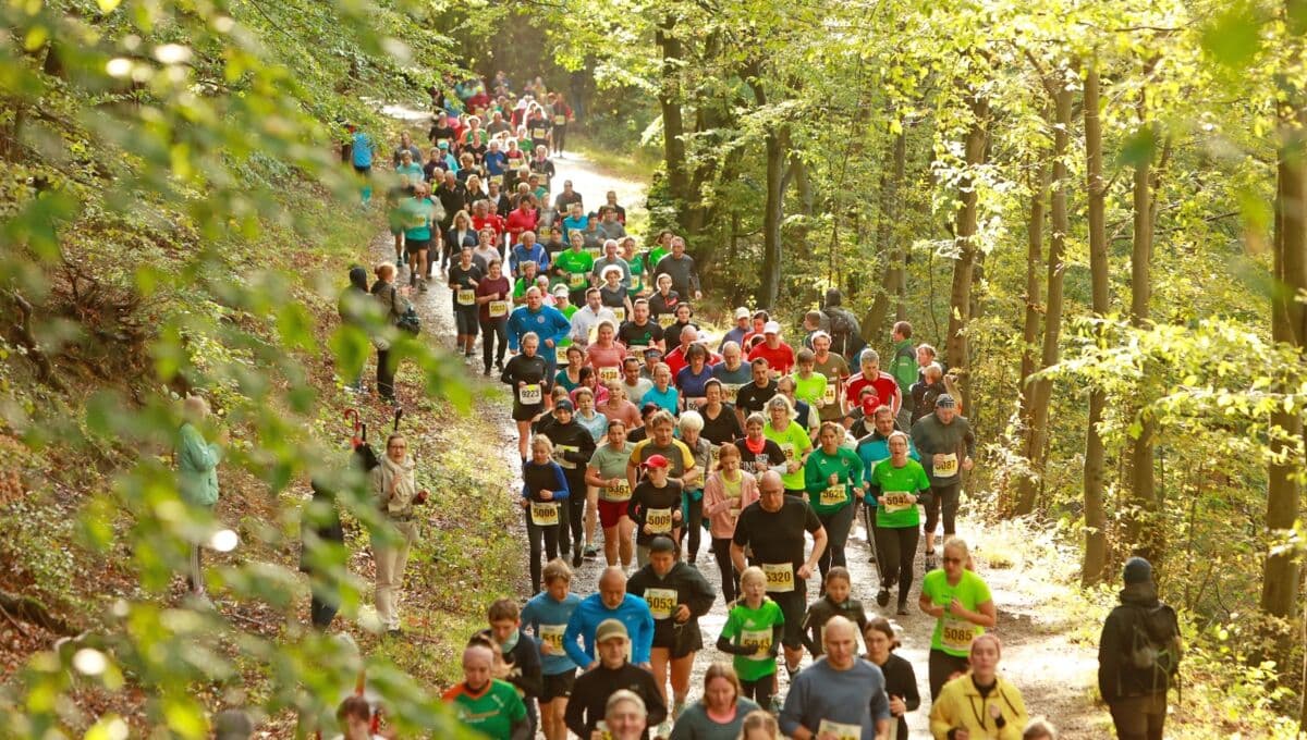 Harz-Gebirgslauf race event