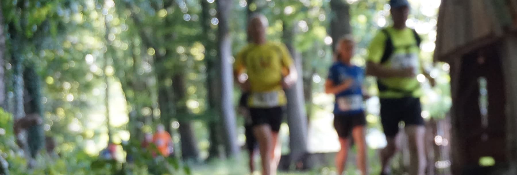 Landschapsloop Winterswijk Marathon race event