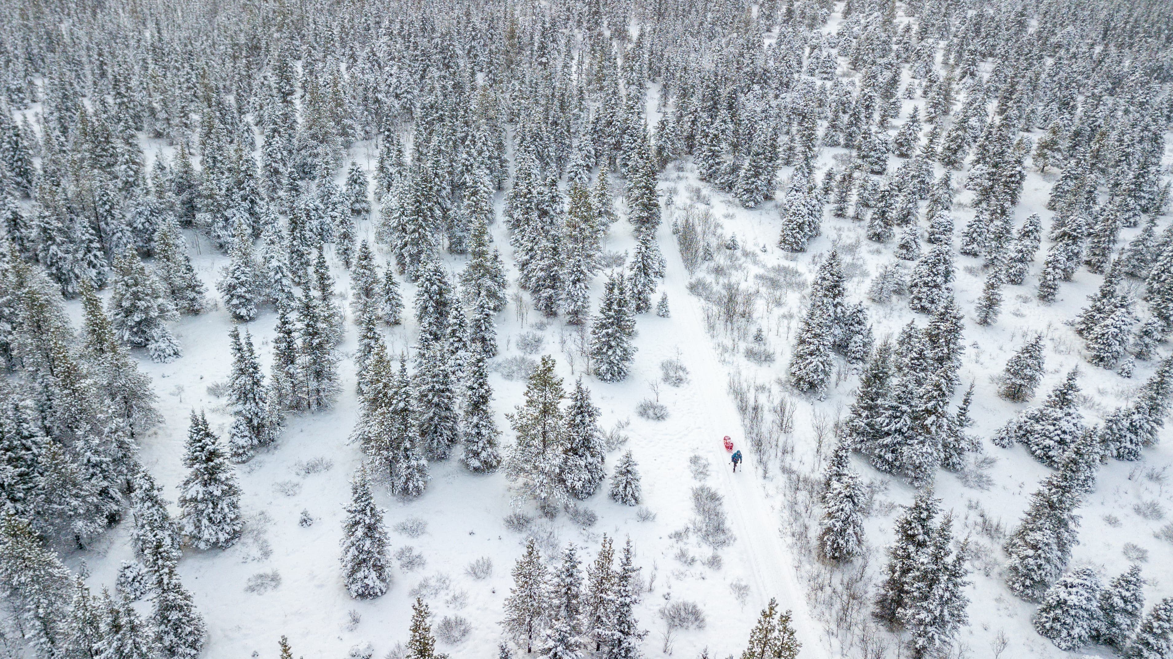 Lapland Arctic Ultra race event