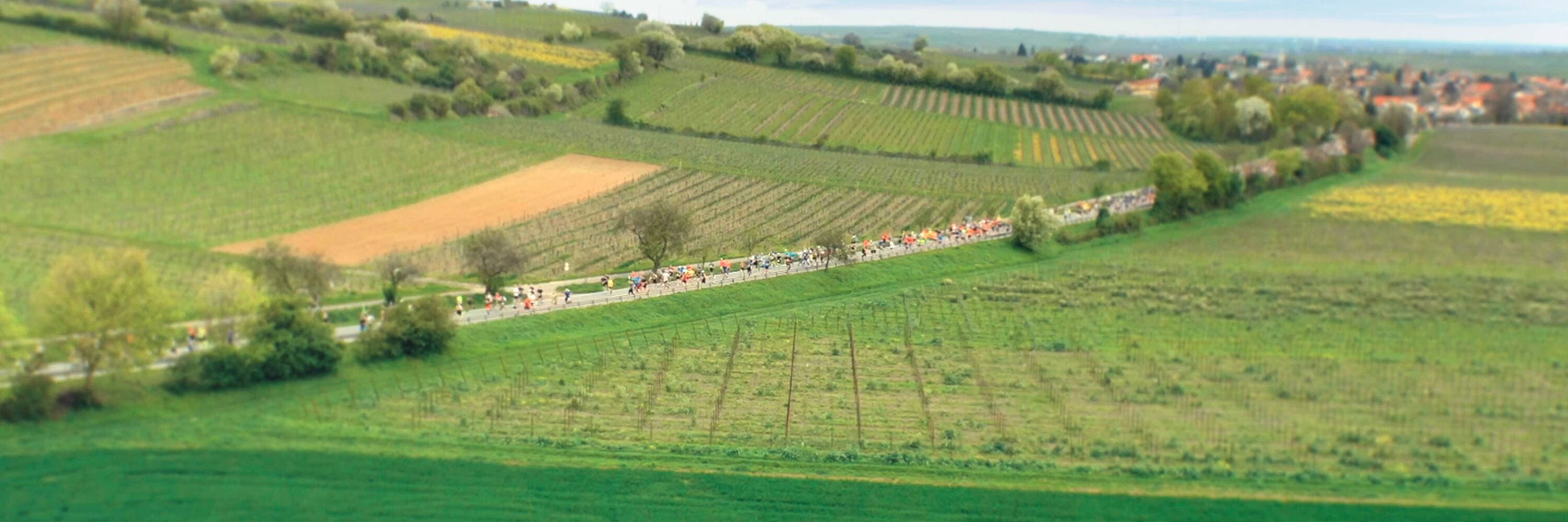 Marathon Deutsche Weinstraße race event