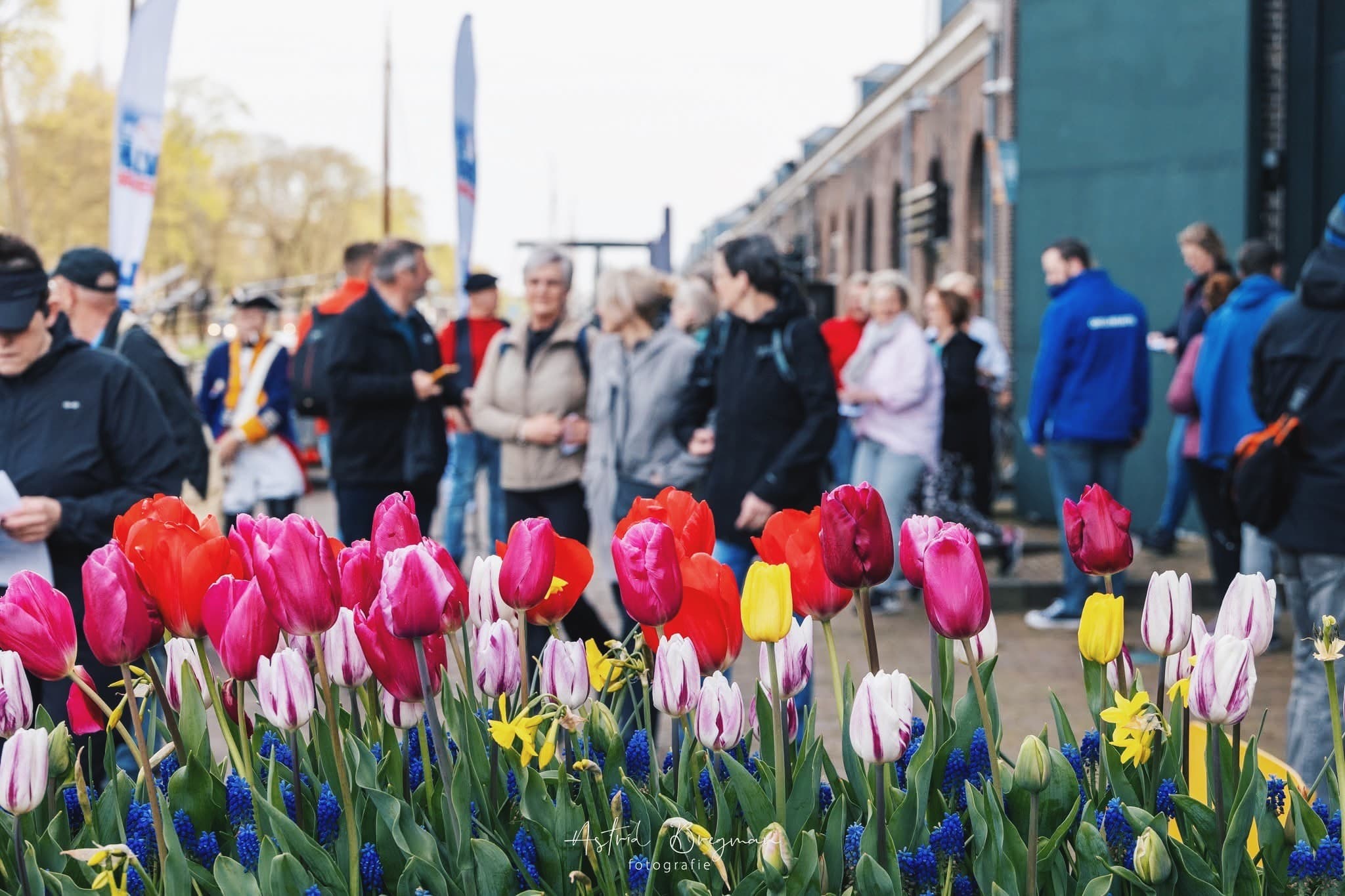 De Halve van Den Helder race event