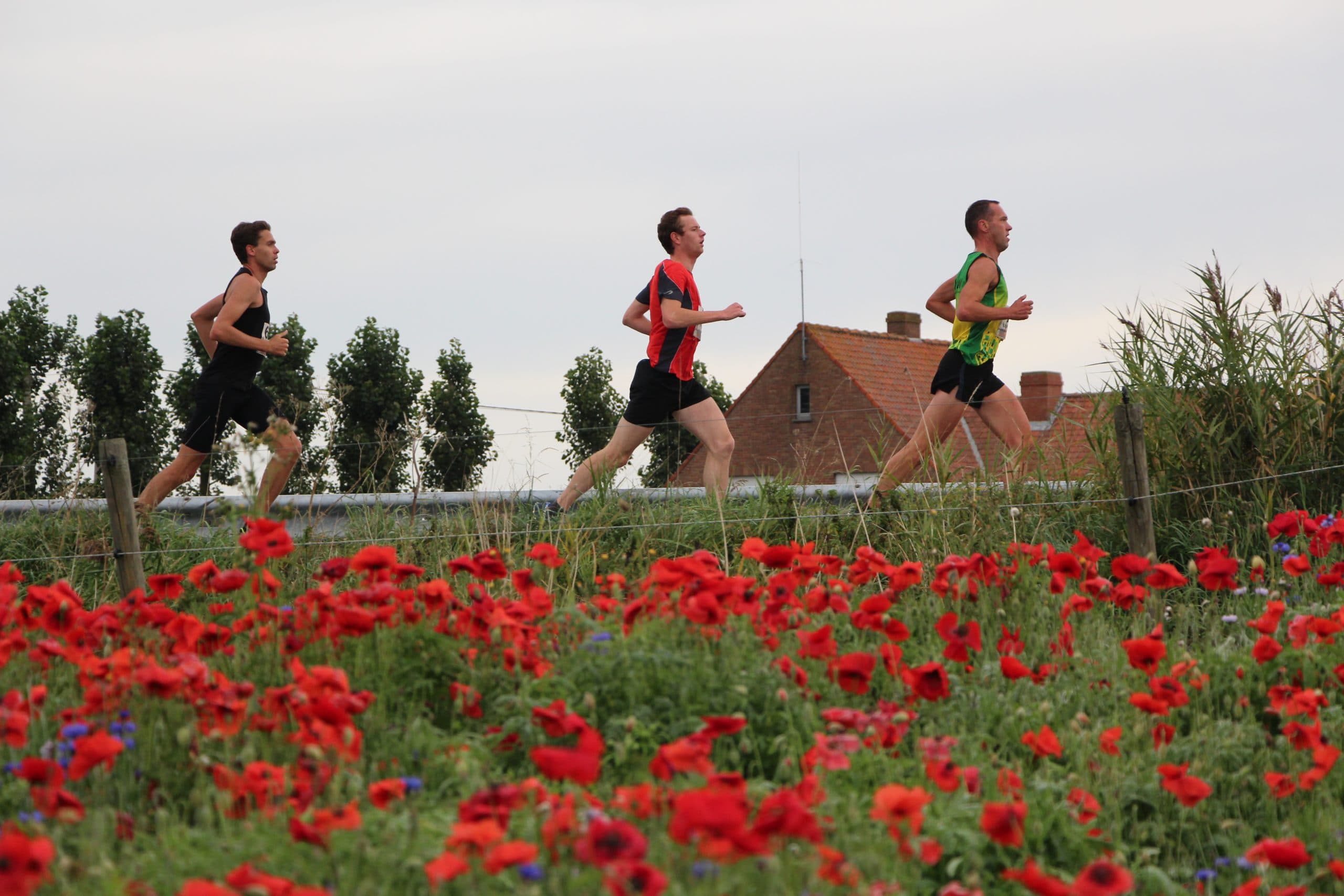 In Flanders Fields Marathon race event