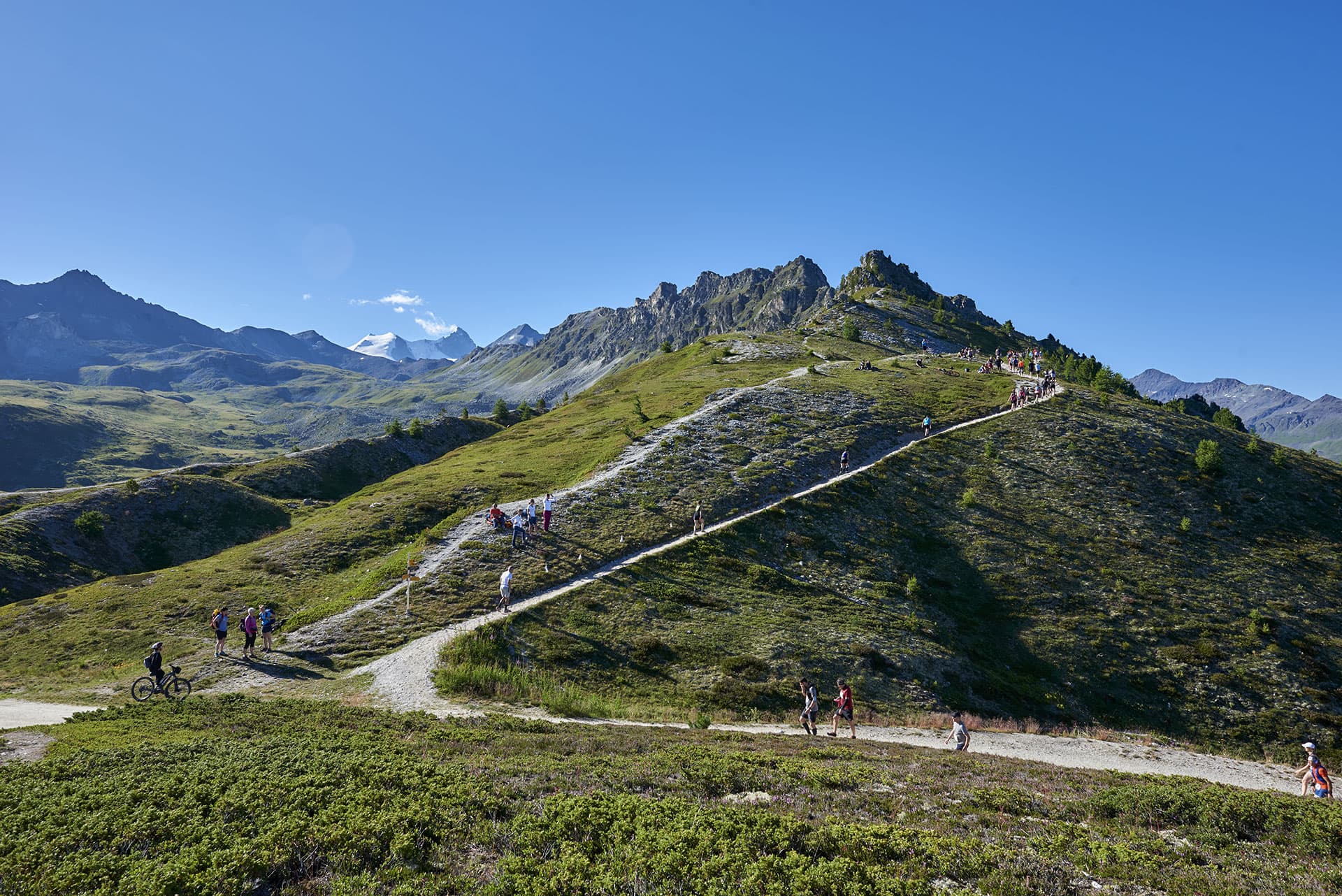 Sierre-Zinal race event