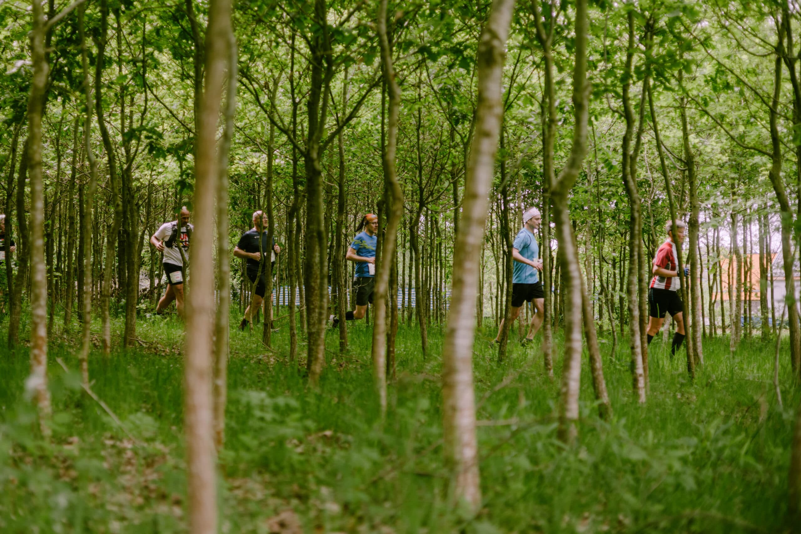 Stroomloop Trailrun race event