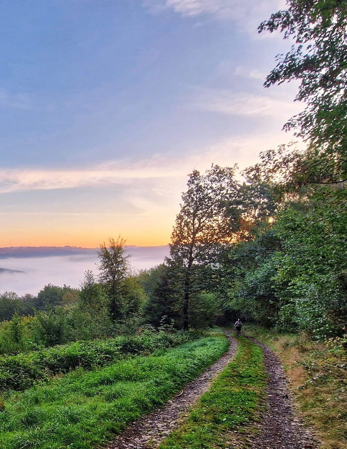 The Great Escape race event