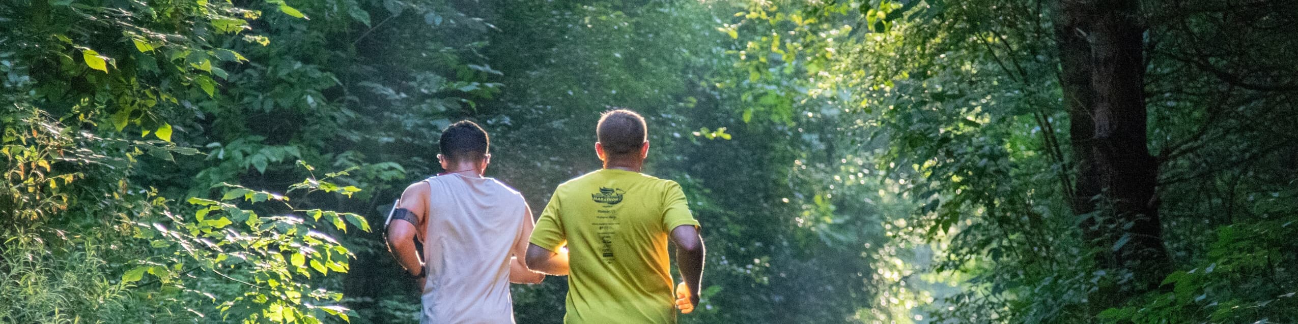 Drents-Friese Wold Marathon race event