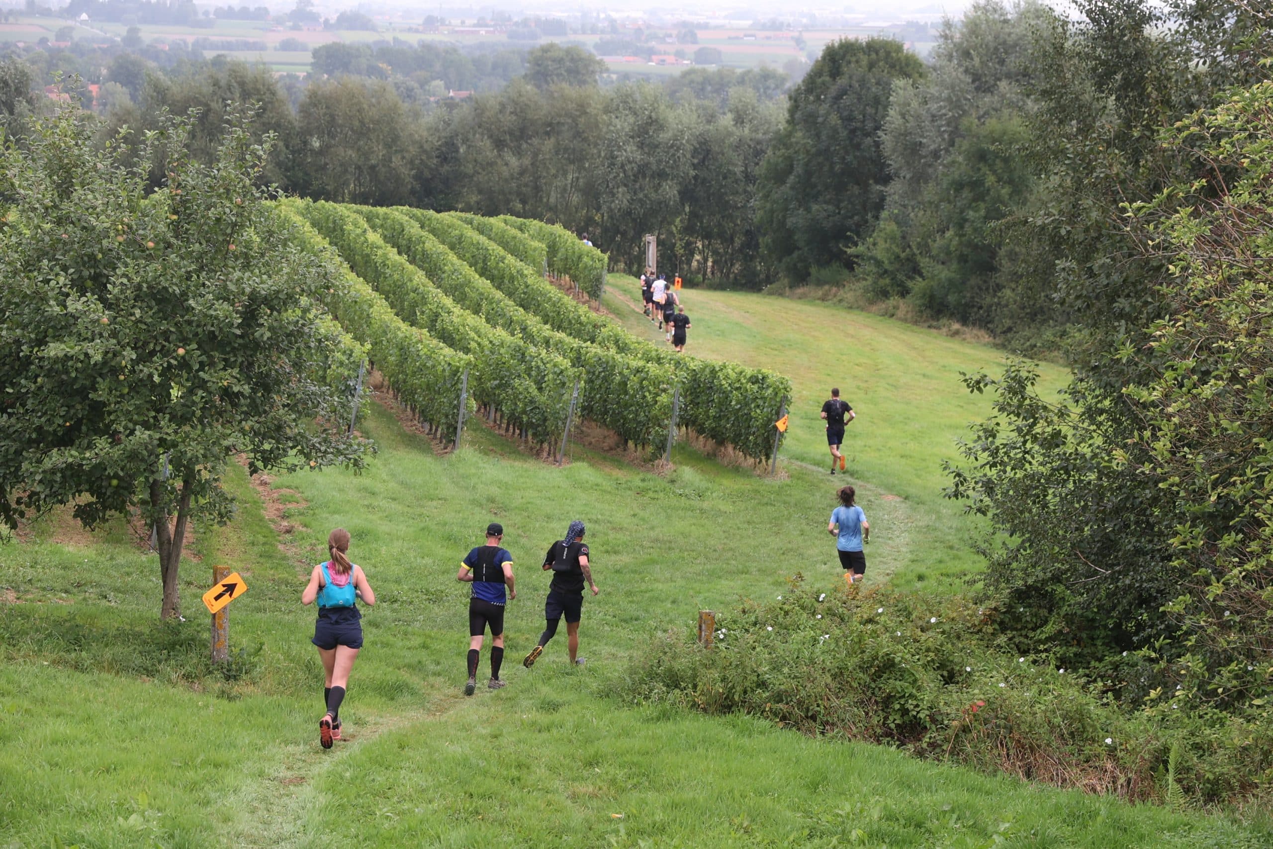 Kemmelberg Trail race event